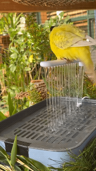 Automatic Bird Bath with Circulating Water Fountain