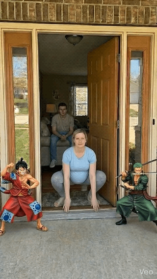 Reusable Privacy Window Tint with Sun Protection