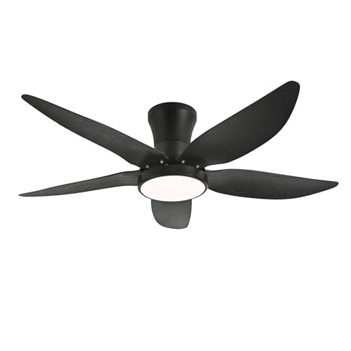 Ceiling Fans with Lights