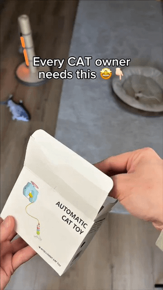 Automatic Hanging Cat Toy