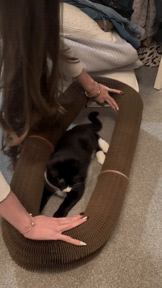 Foldable Magic Organ Cat Scratcher & Interactive Toy