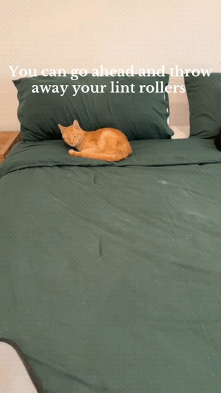 Pet Hair Remover Gloves for Couch & Clothes