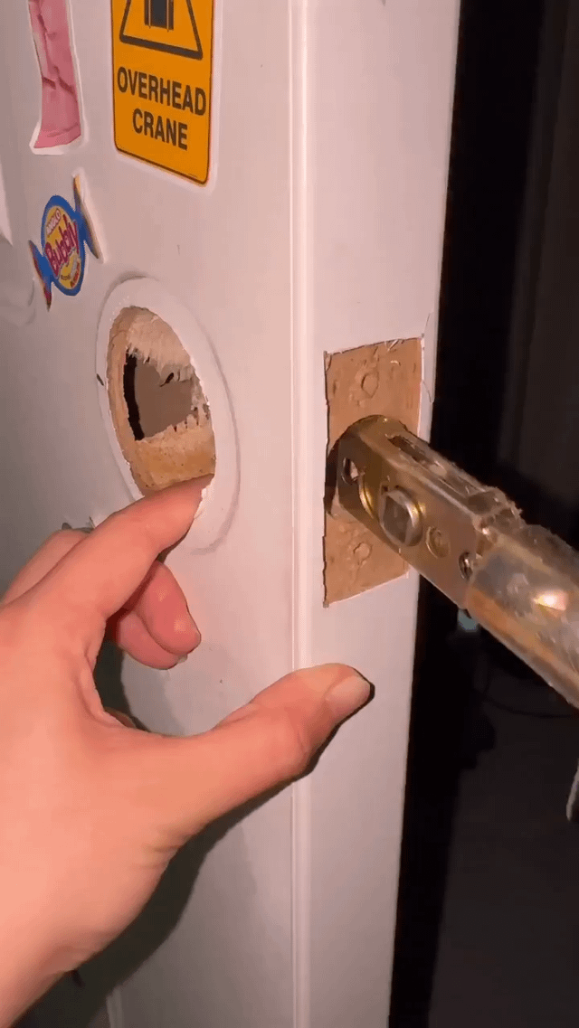 Smart Door Lock with Fingerprint & App Control