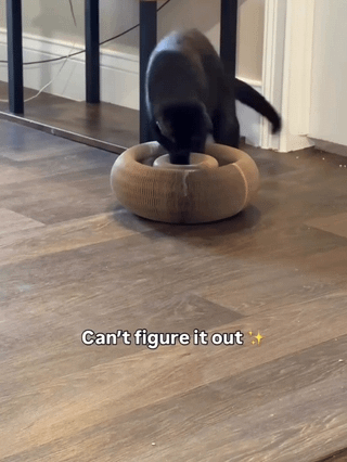 Foldable Magic Organ Cat Scratcher Interactive Toy
