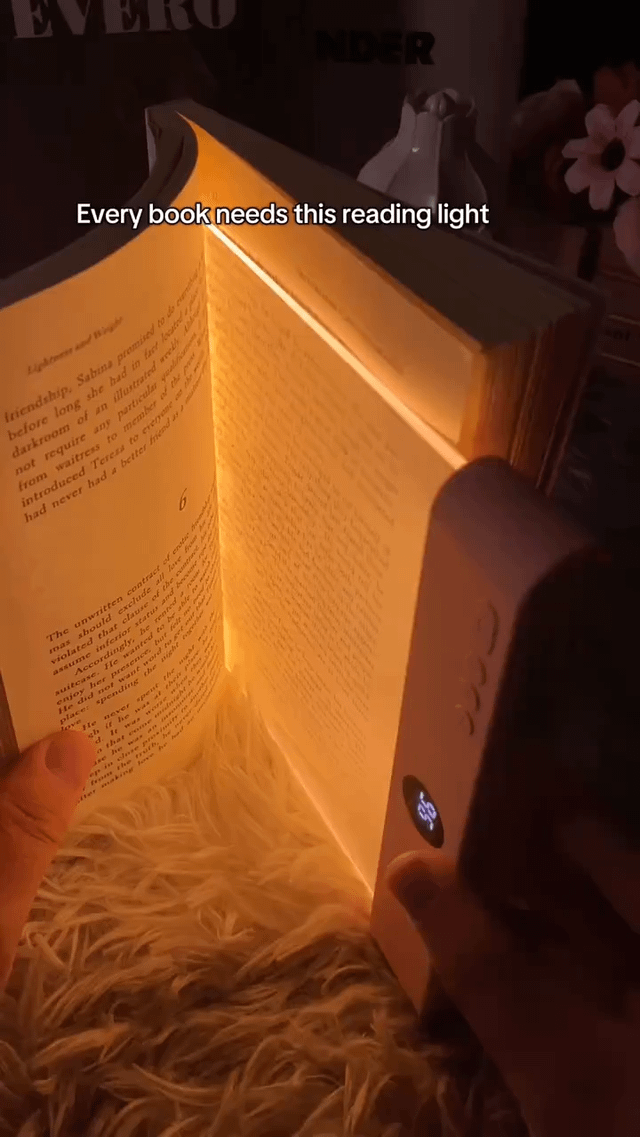 LED Flat Reading Light