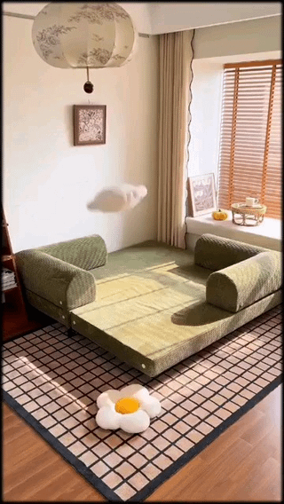 Convertible Queen Sofa Bed with Removable Armrests