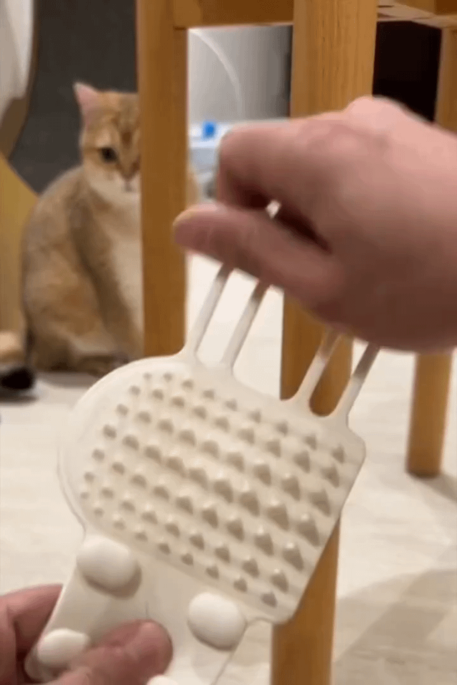 Wall Corner Cat Scratcher & Grooming Brush