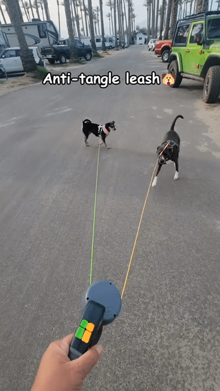 360° Tangle-Free Leash for Two Dogs